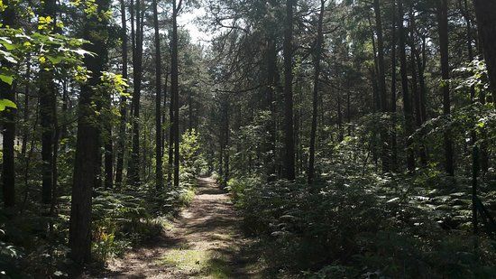 Bałtykarium